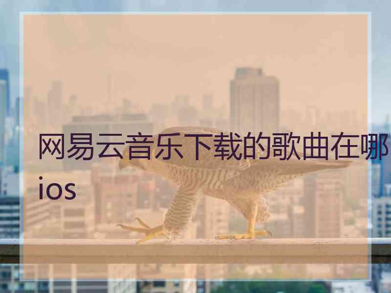 网易云音乐下载的歌曲在哪ios