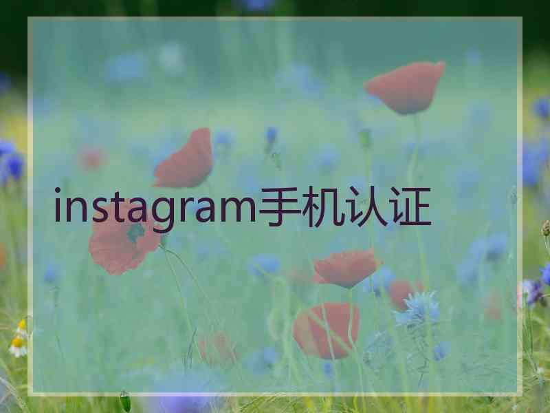 instagram手机认证