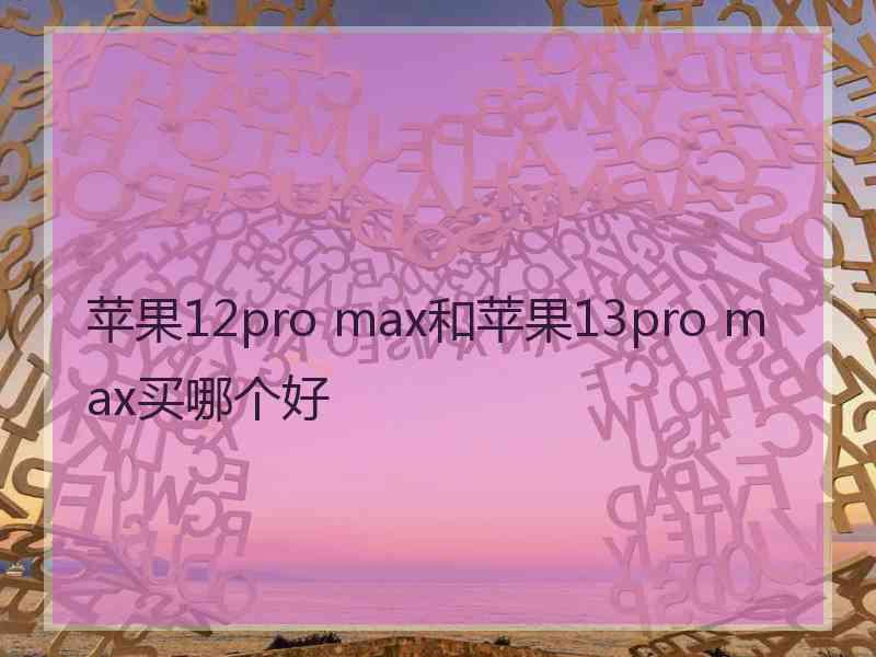 苹果12pro max和苹果13pro max买哪个好