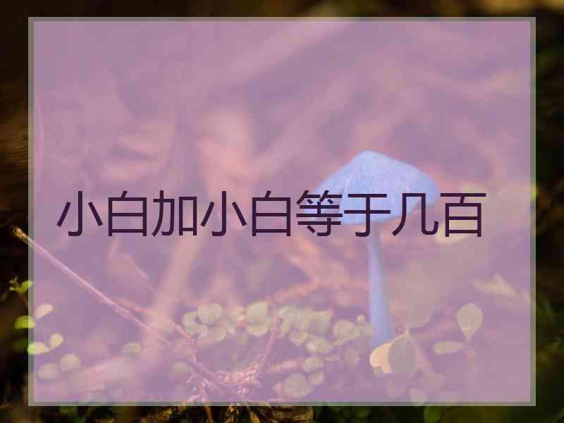 小白加小白等于几百