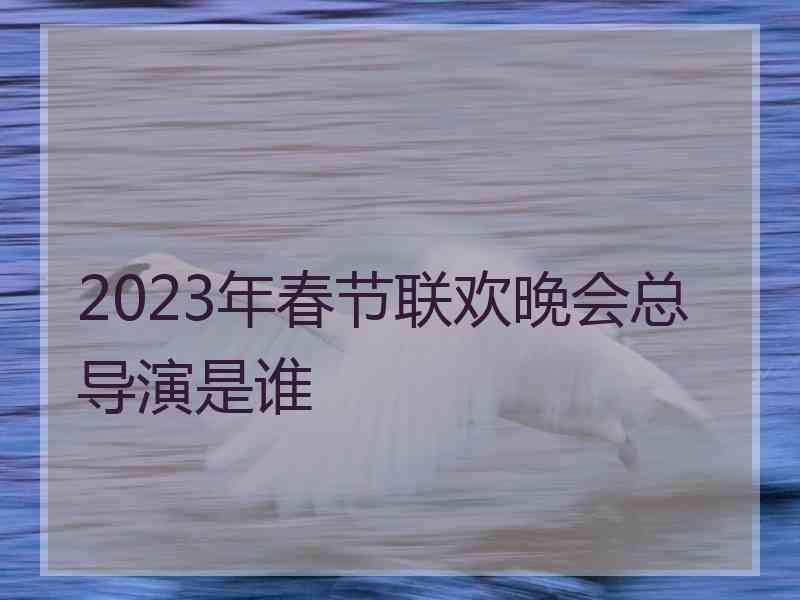 2023年春节联欢晚会总导演是谁