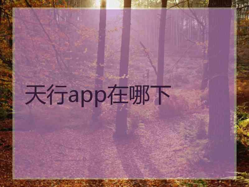 天行app在哪下