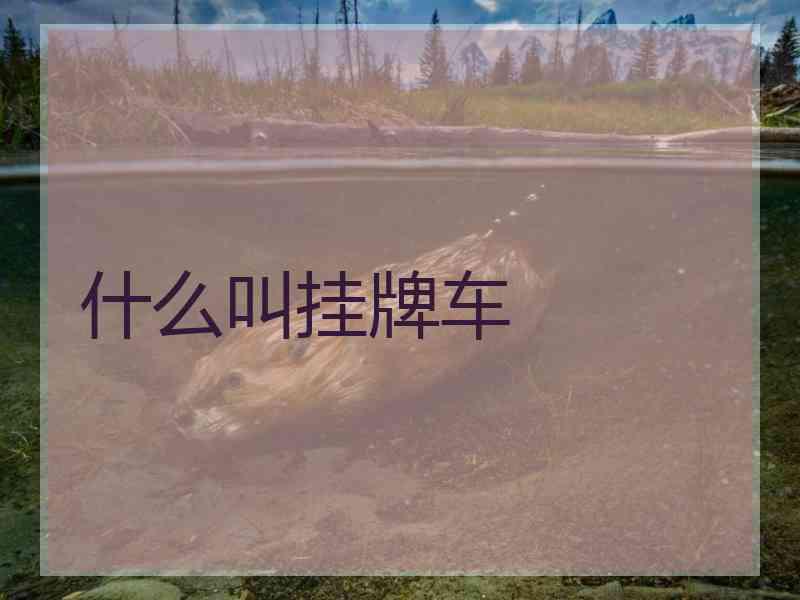 什么叫挂牌车