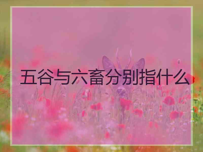 五谷与六畜分别指什么