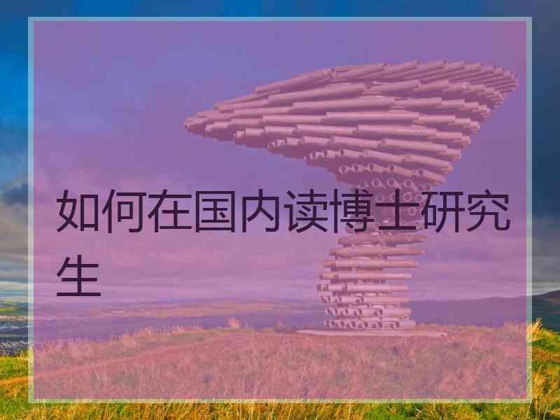 如何在国内读博士研究生