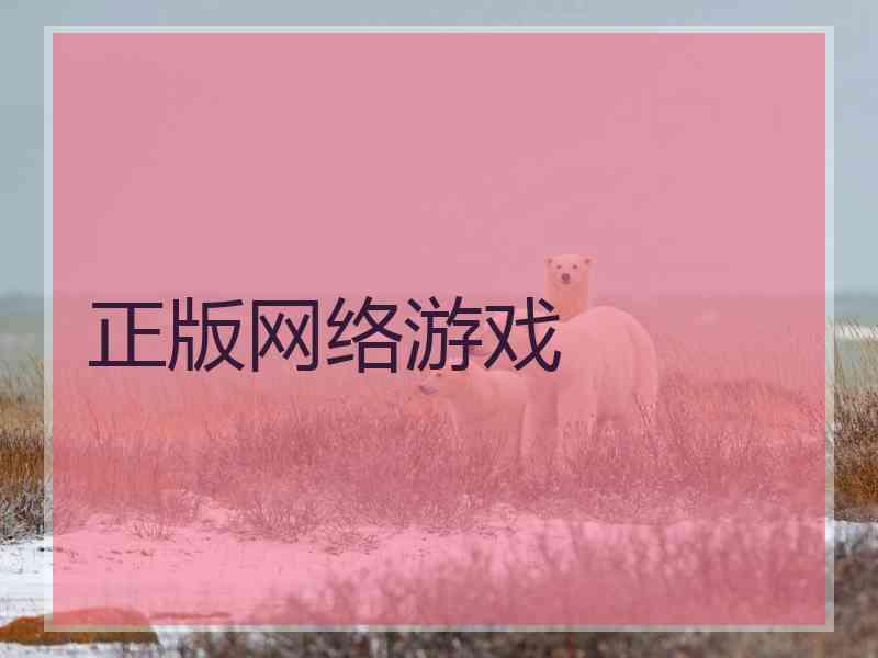 正版网络游戏