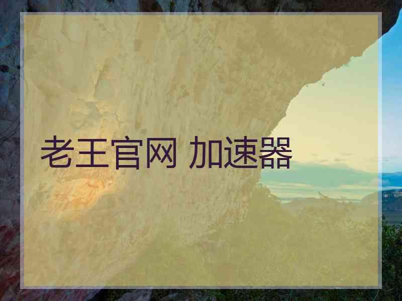 老王官网 加速器
