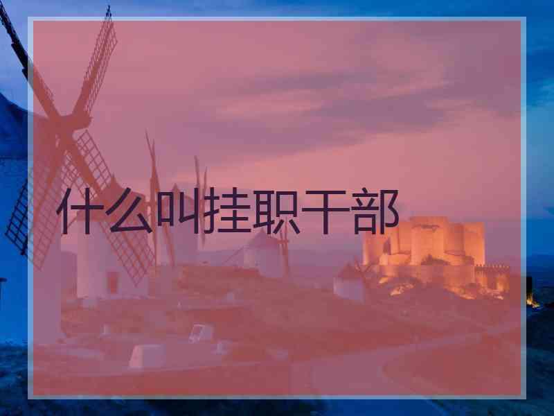 什么叫挂职干部