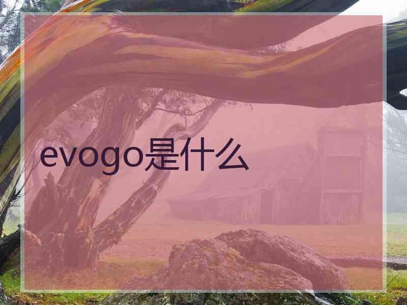 evogo是什么