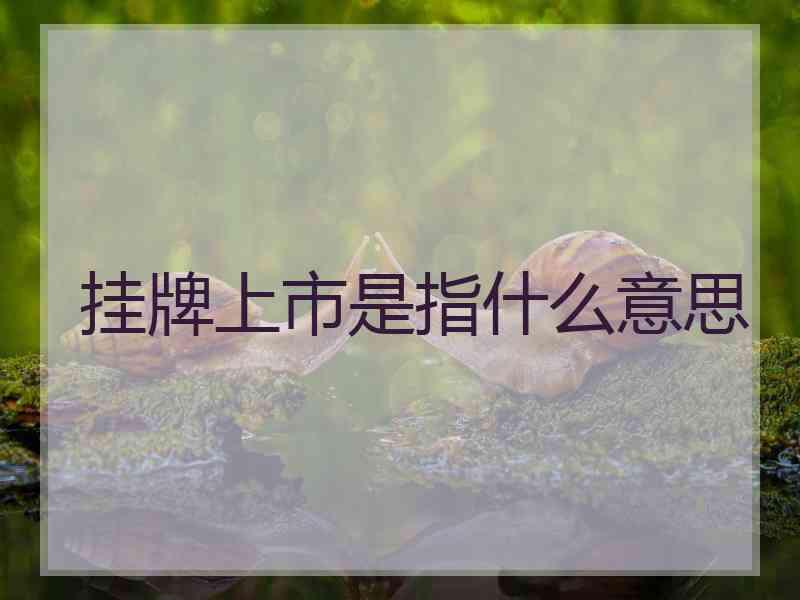 挂牌上市是指什么意思