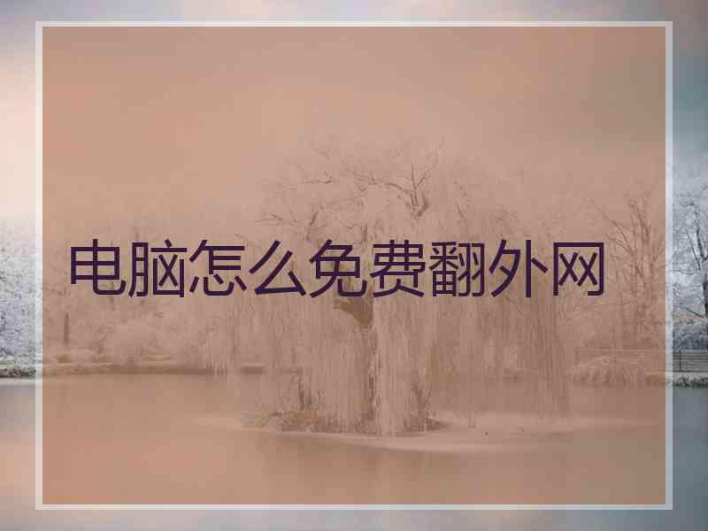 电脑怎么免费翻外网