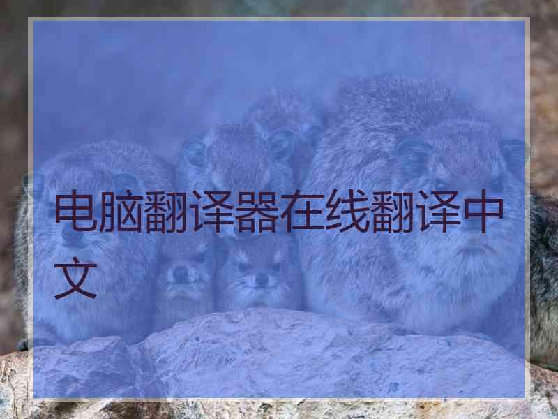 电脑翻译器在线翻译中文