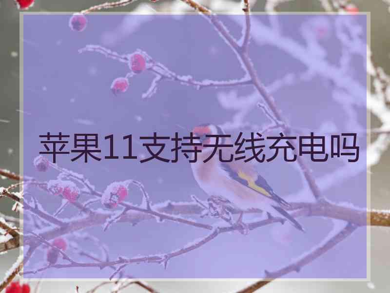 苹果11支持无线充电吗