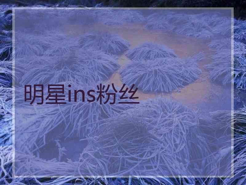 明星ins粉丝