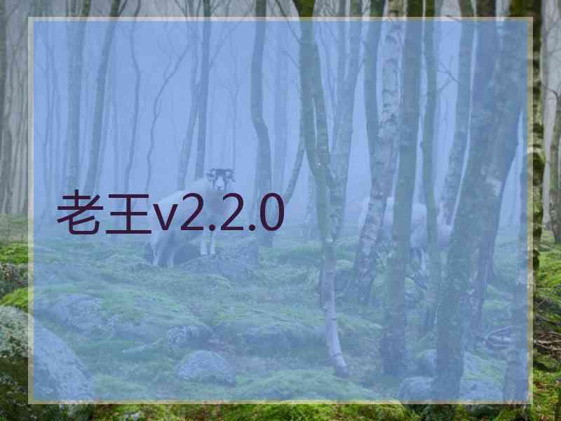 老王v2.2.0