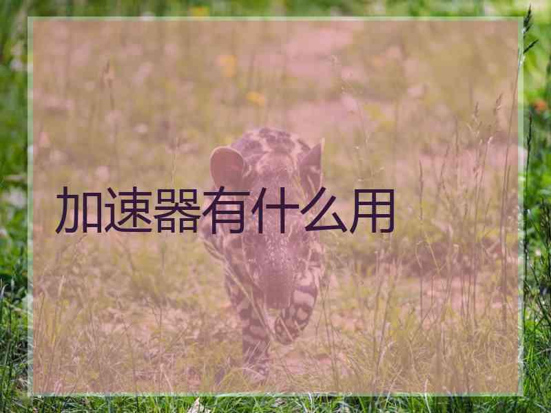 加速器有什么用