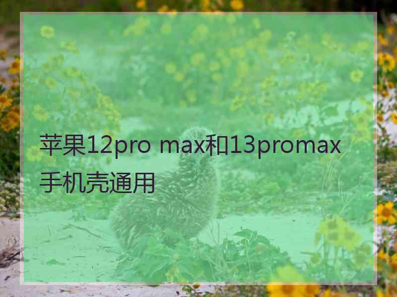 苹果12pro max和13promax手机壳通用