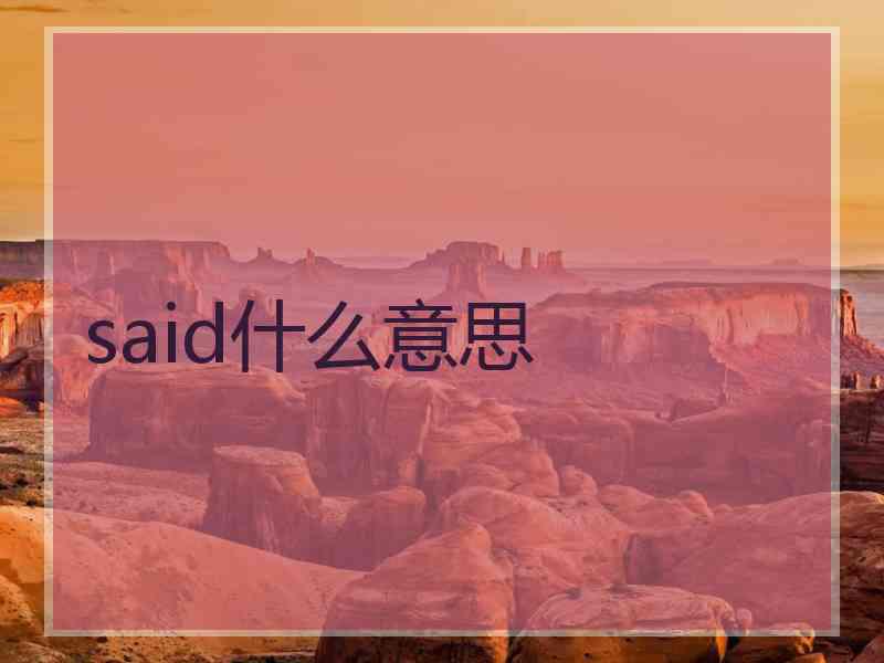 said什么意思