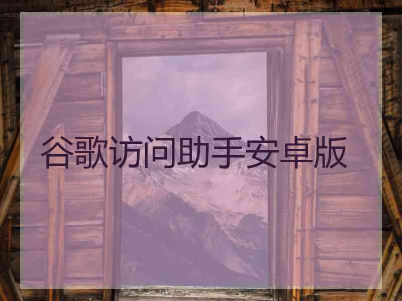 谷歌访问助手安卓版
