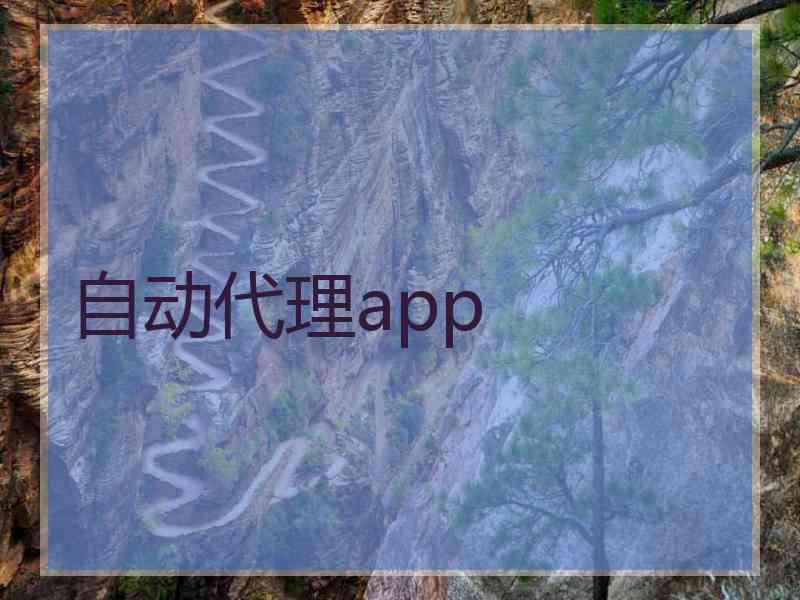 自动代理app
