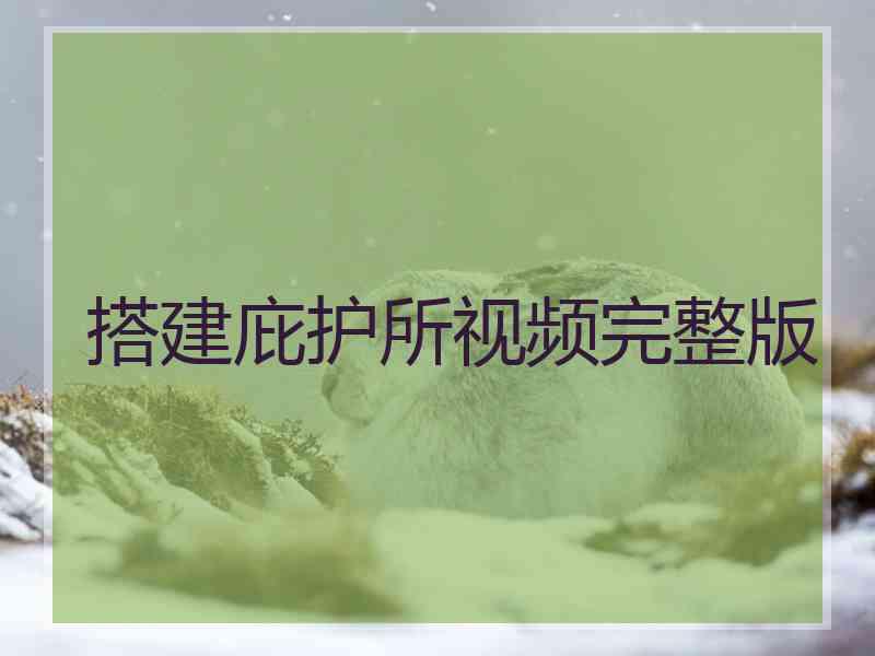 搭建庇护所视频完整版