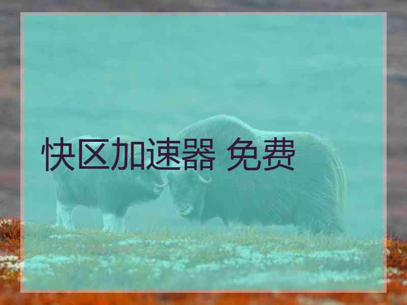 快区加速器 免费
