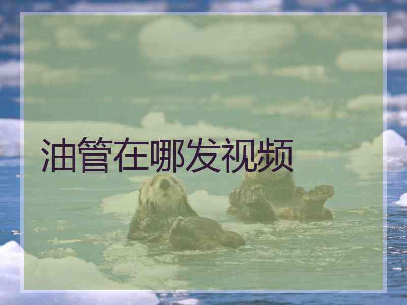 油管在哪发视频