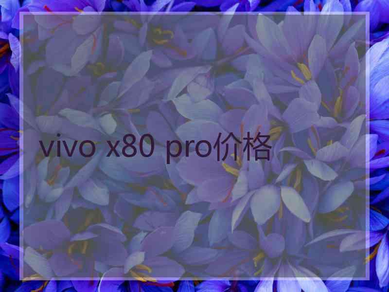 vivo x80 pro价格