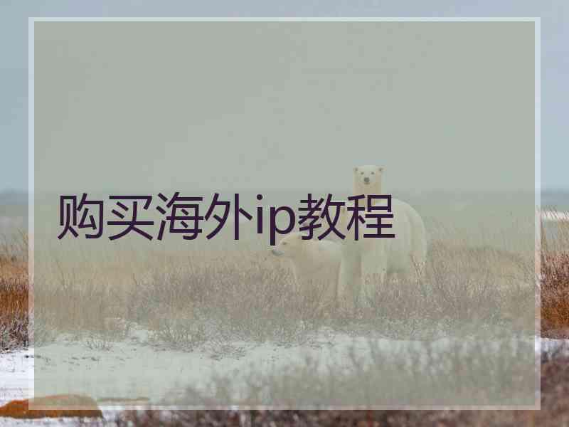 购买海外ip教程