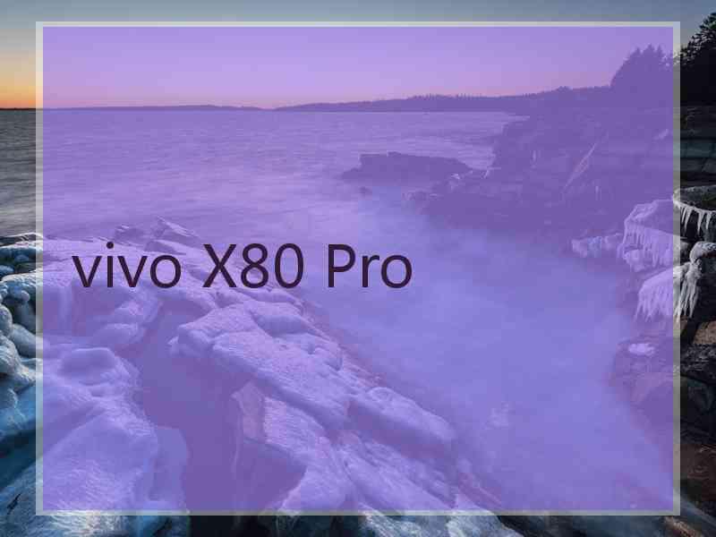 vivo X80 Pro