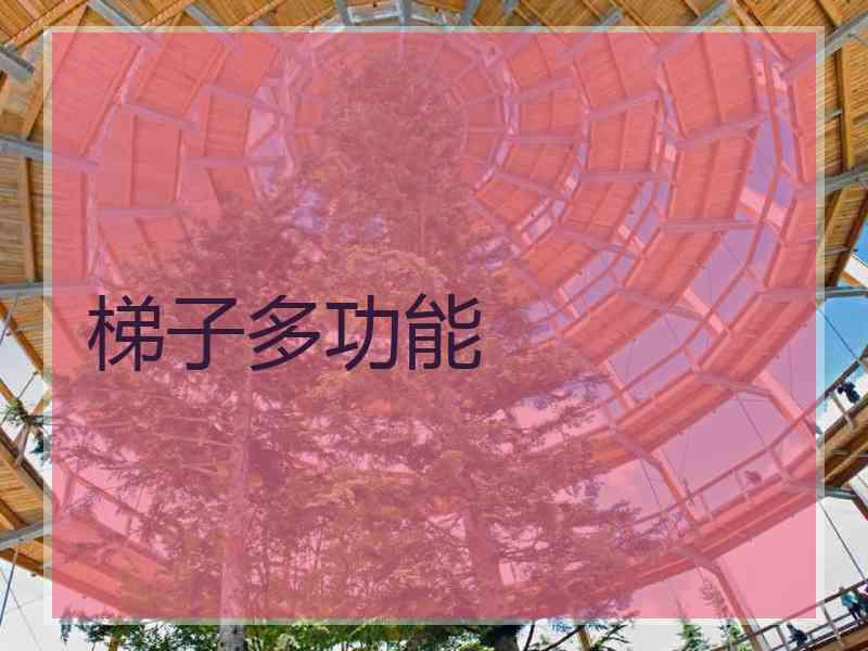 梯子多功能