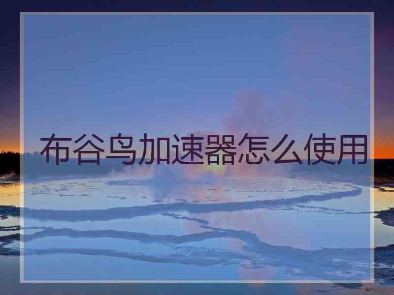 布谷鸟加速器怎么使用