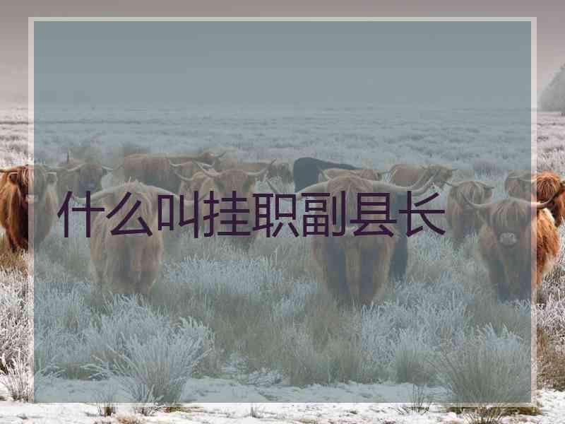 什么叫挂职副县长