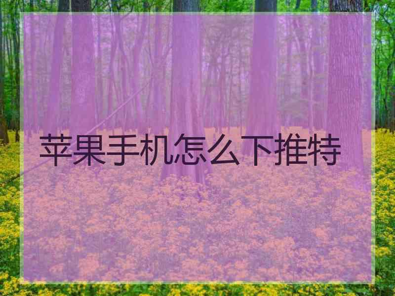 苹果手机怎么下推特