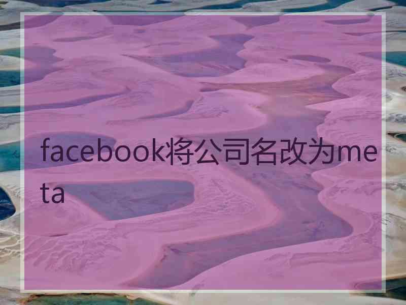 facebook将公司名改为meta