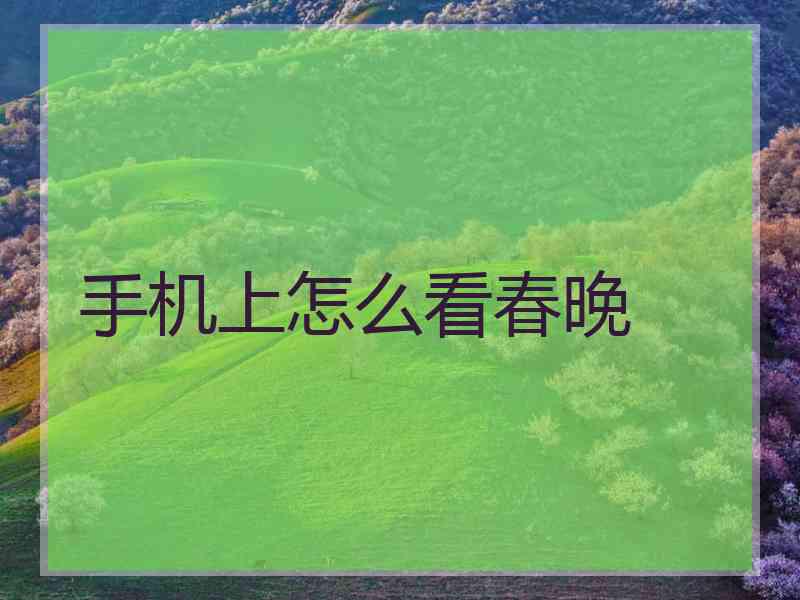 手机上怎么看春晚