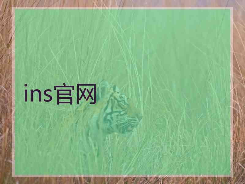 ins官网