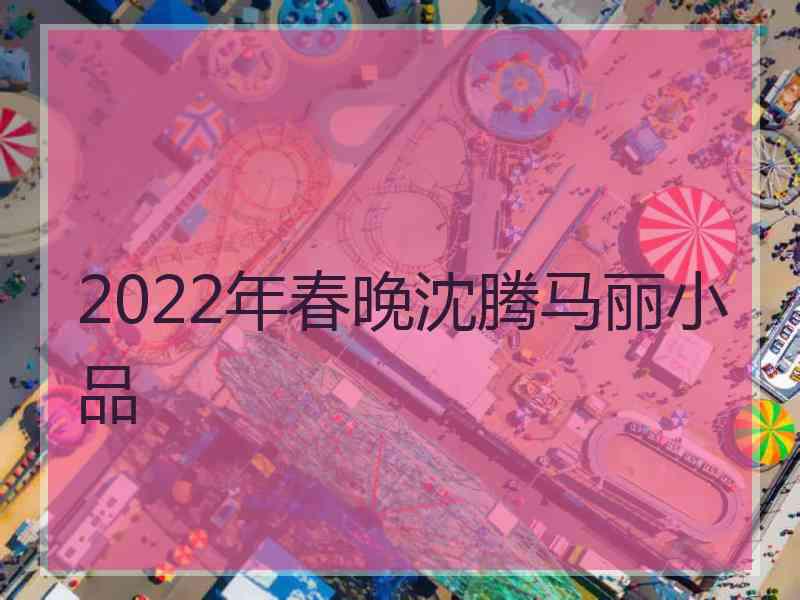 2022年春晚沈腾马丽小品