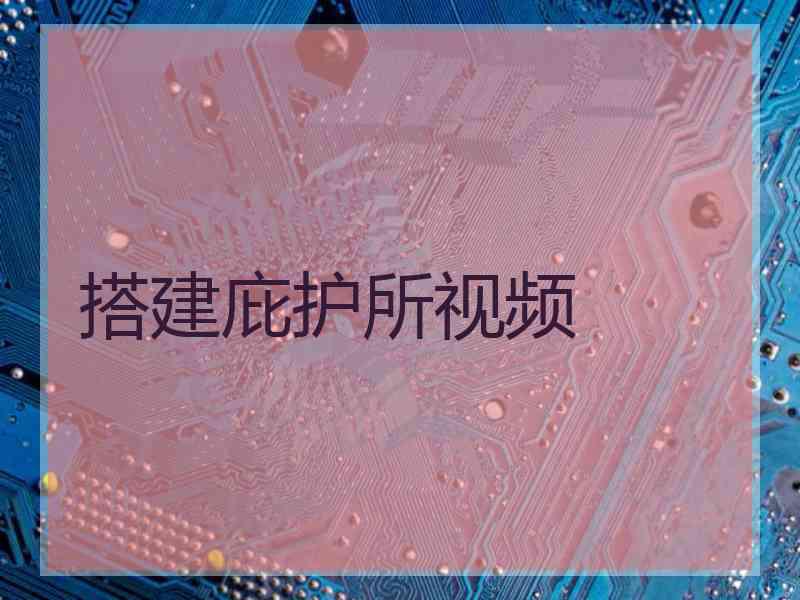 搭建庇护所视频