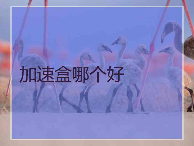 加速盒哪个好