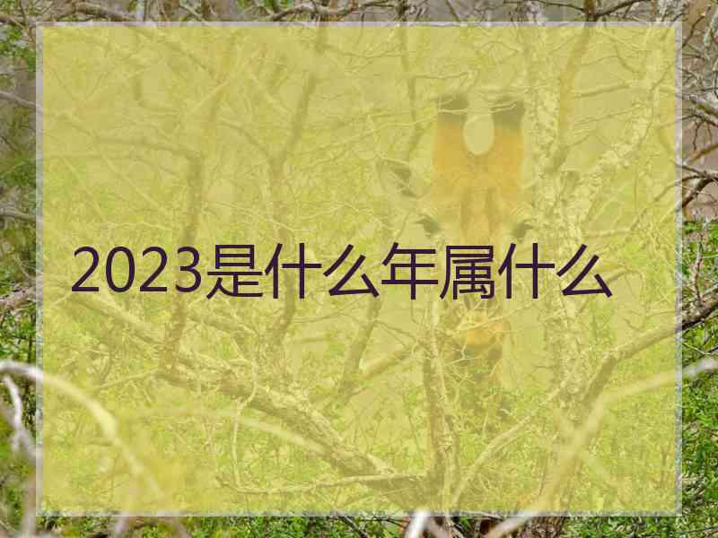 2023是什么年属什么