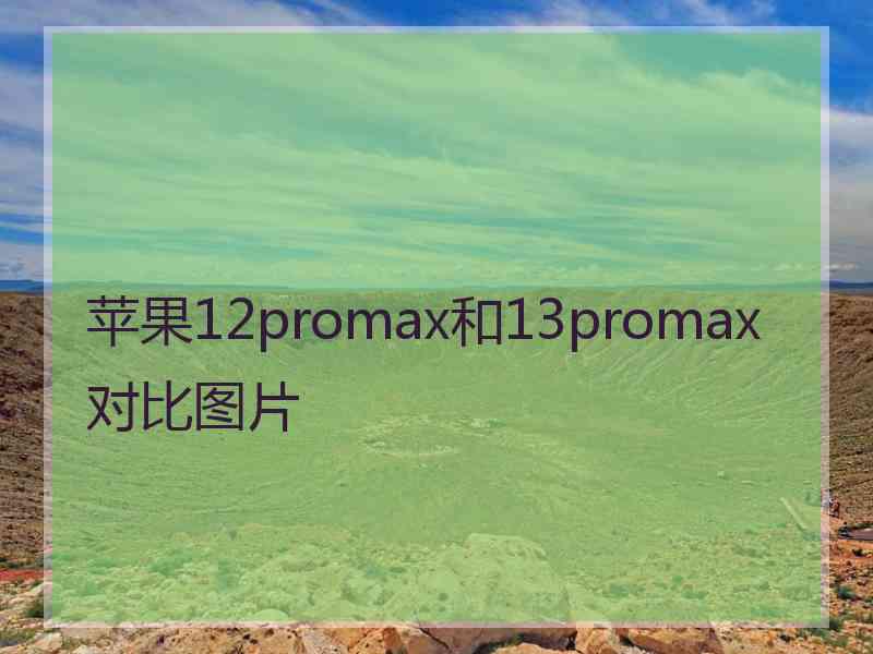 苹果12promax和13promax对比图片