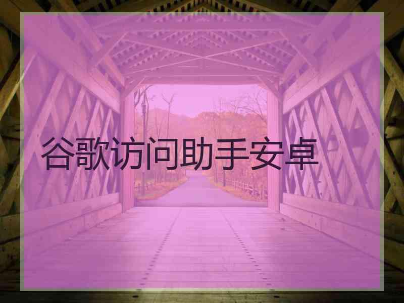 谷歌访问助手安卓