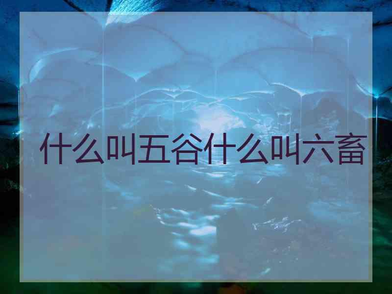 什么叫五谷什么叫六畜