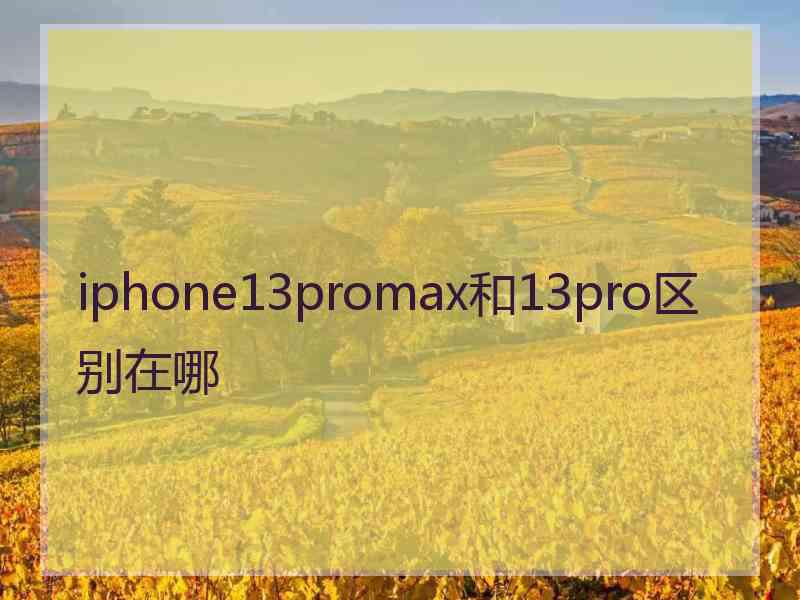 iphone13promax和13pro区别在哪