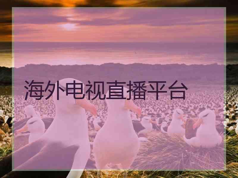 海外电视直播平台