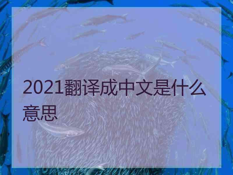 2021翻译成中文是什么意思