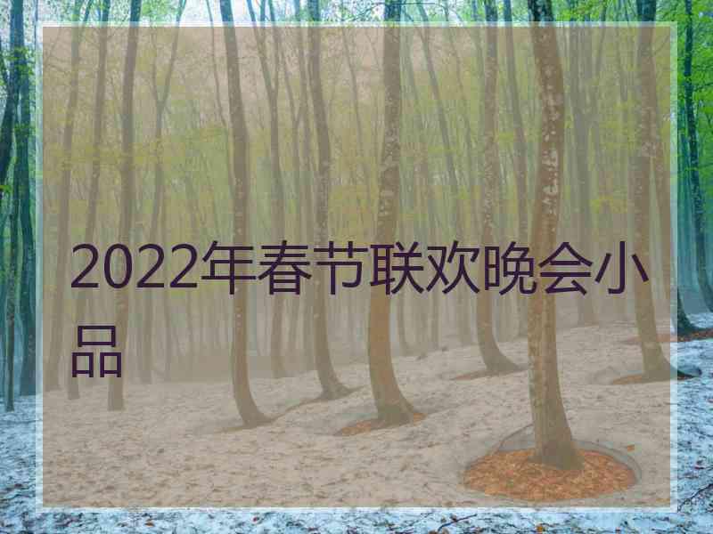 2022年春节联欢晚会小品