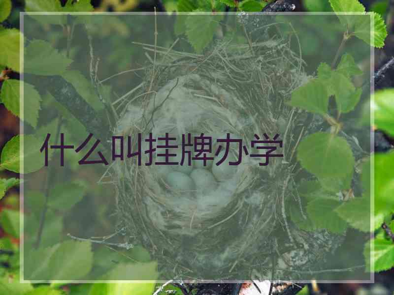 什么叫挂牌办学