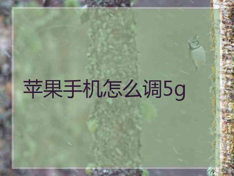 苹果手机怎么调5g